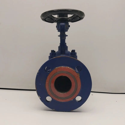 ARI-Faba Plus 010832 Globe Valve DN50