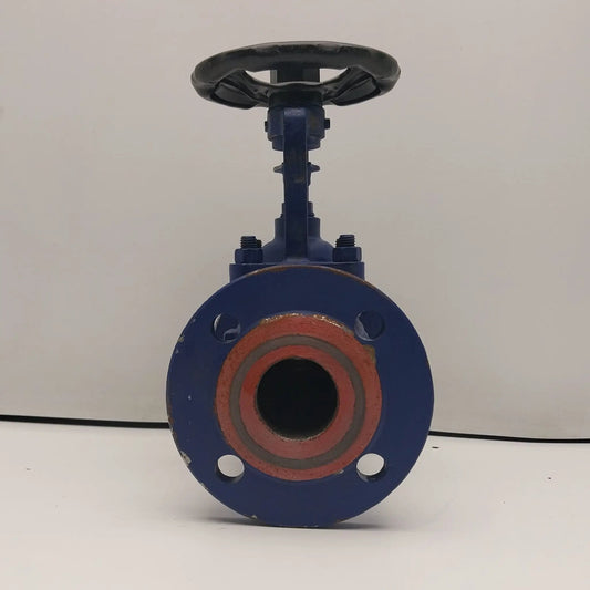 ARI-Faba Plus 010832 Globe Valve DN50