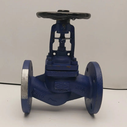 ARI-Faba Plus 010832 Globe Valve DN50