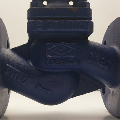ARI-Faba Plus 010832 Globe Valve DN50