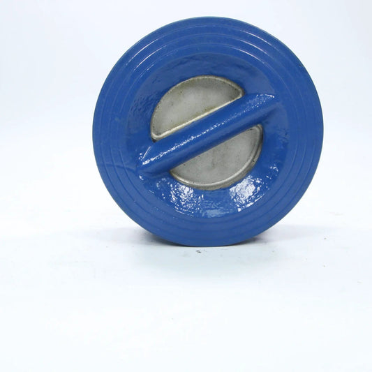 AWS Non Return Valve RSK-915 DN100