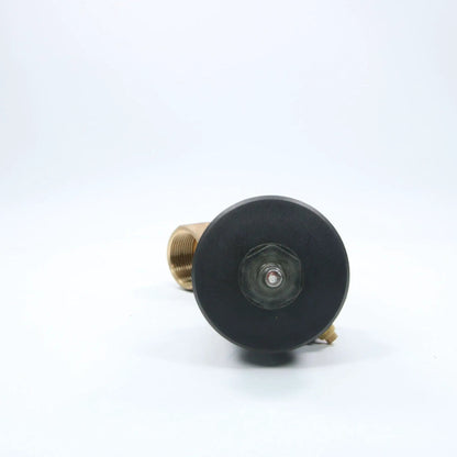 Asco E290A016 NC Angeld Brass Valve