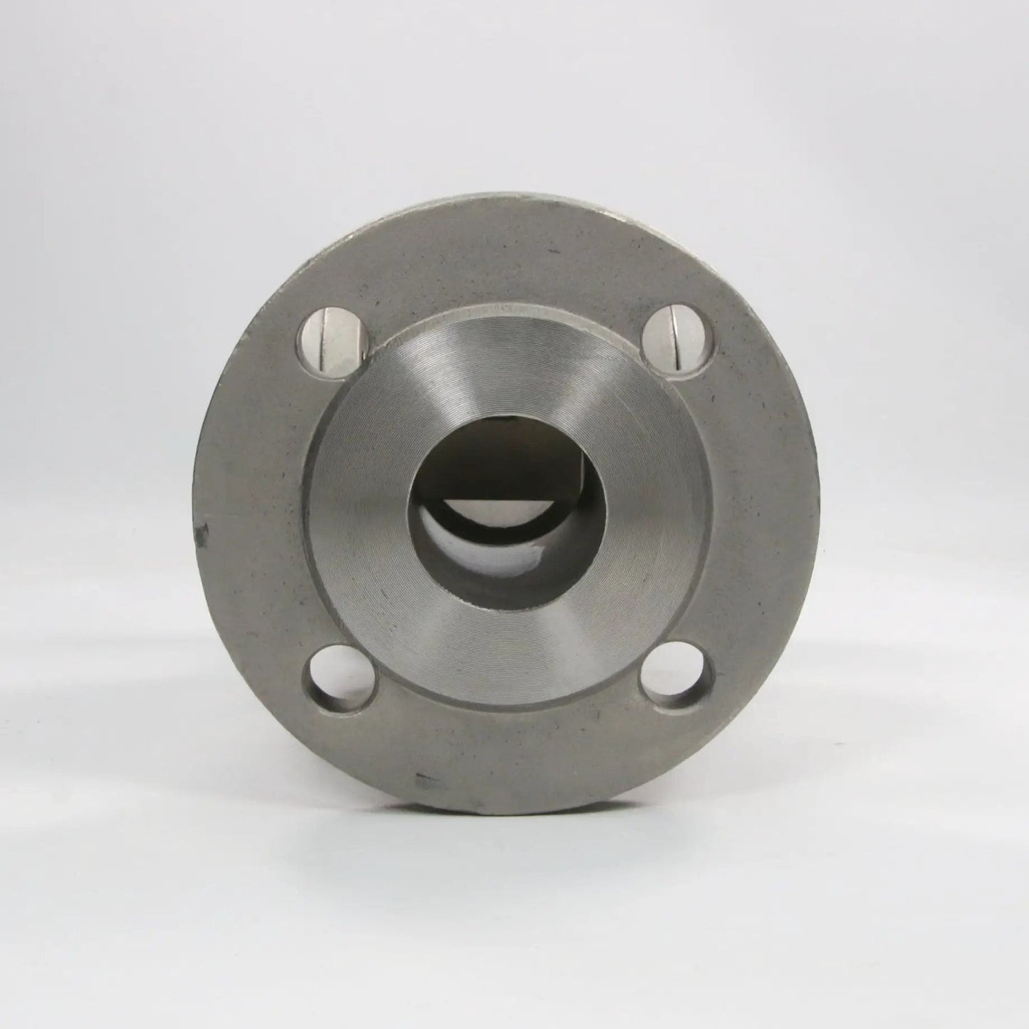 Beaver Paddle Flow Indicator Flange