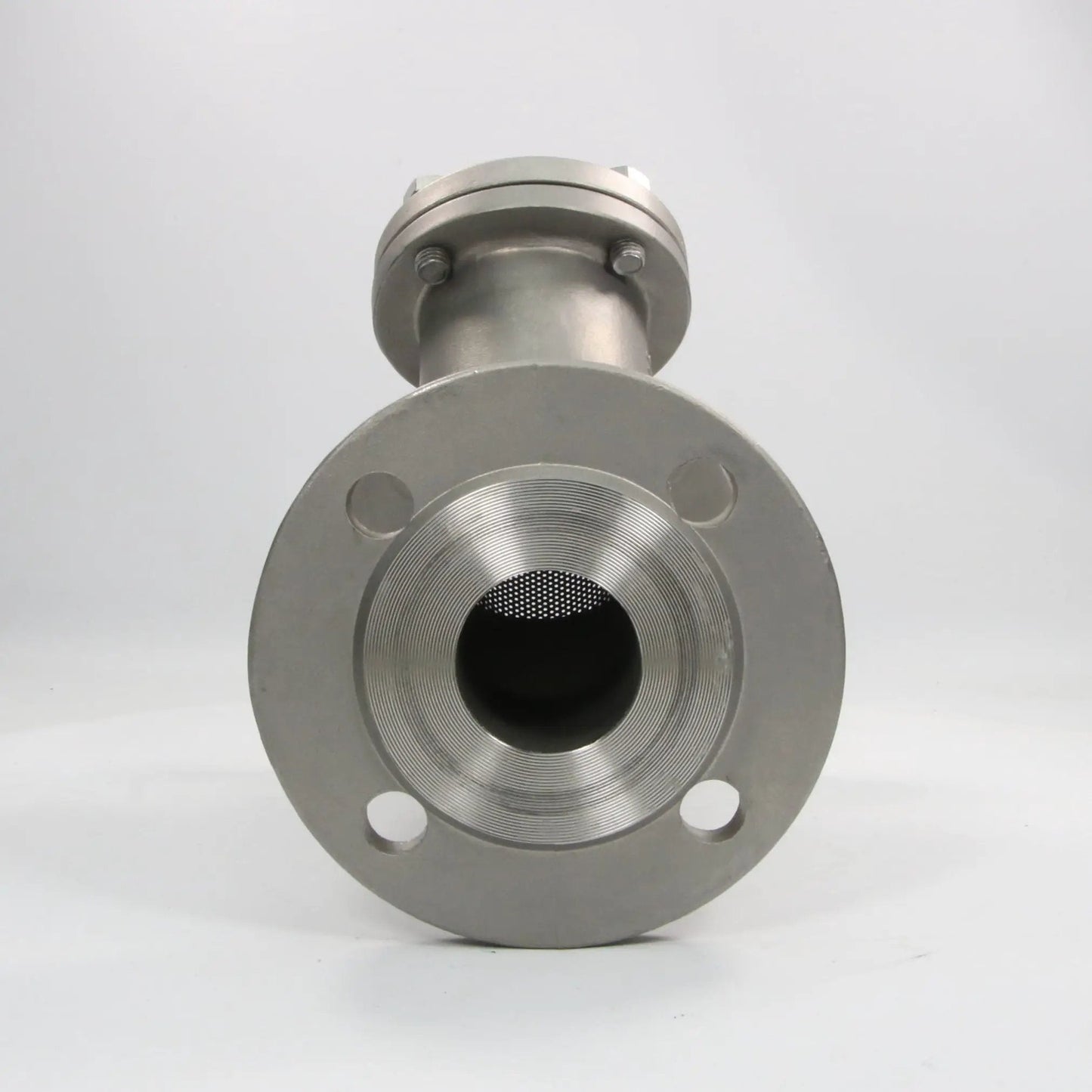 Beaver Stainless Steel Flange with Filter