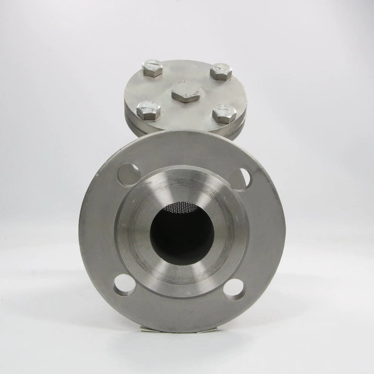 Beaver Stainless Steel Flange with Filter