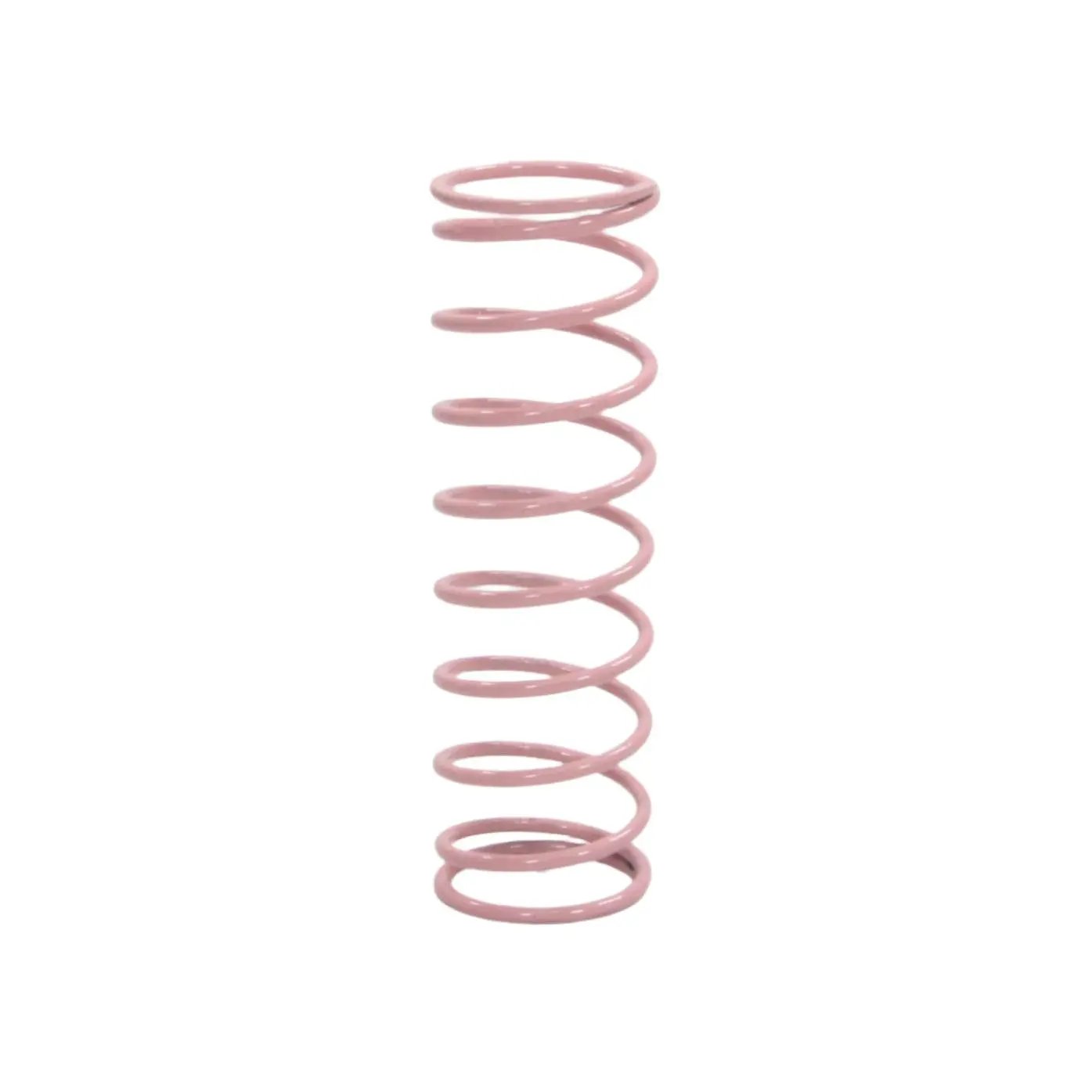 Dungs 229840 Setpoint Spring
