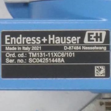 Endress + Hauser TM131 11XC6 101 Industrial Modular Thermometer