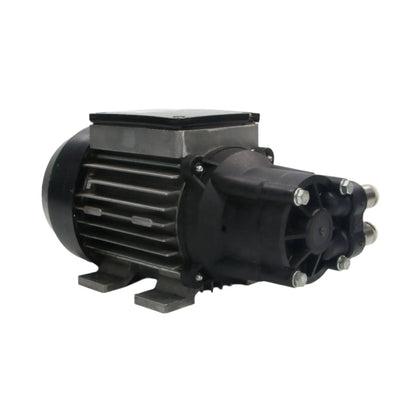 Speck Pumpen Y 2841 0079 Pump