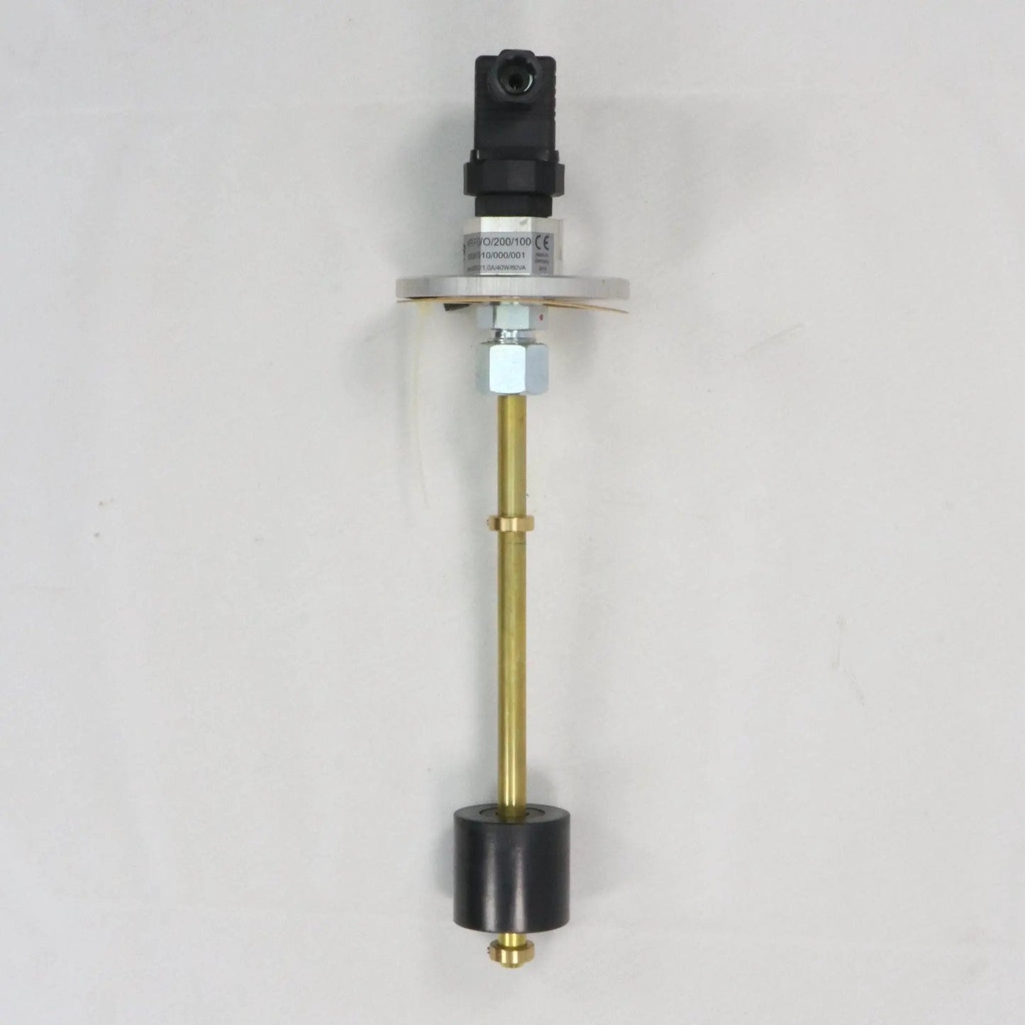 Woerner KFI-F/O/O/200/100 Float/Level Switch