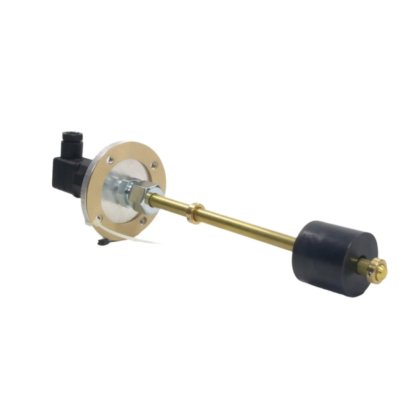 Woerner KFI-F/O/O/200/100 Float/Level Switch