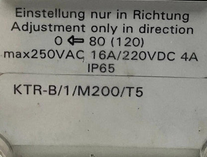 Woerner KTR-B/1/M200/T5 Level and Temperature Switch