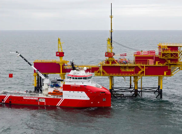 Royal Niestern Sander